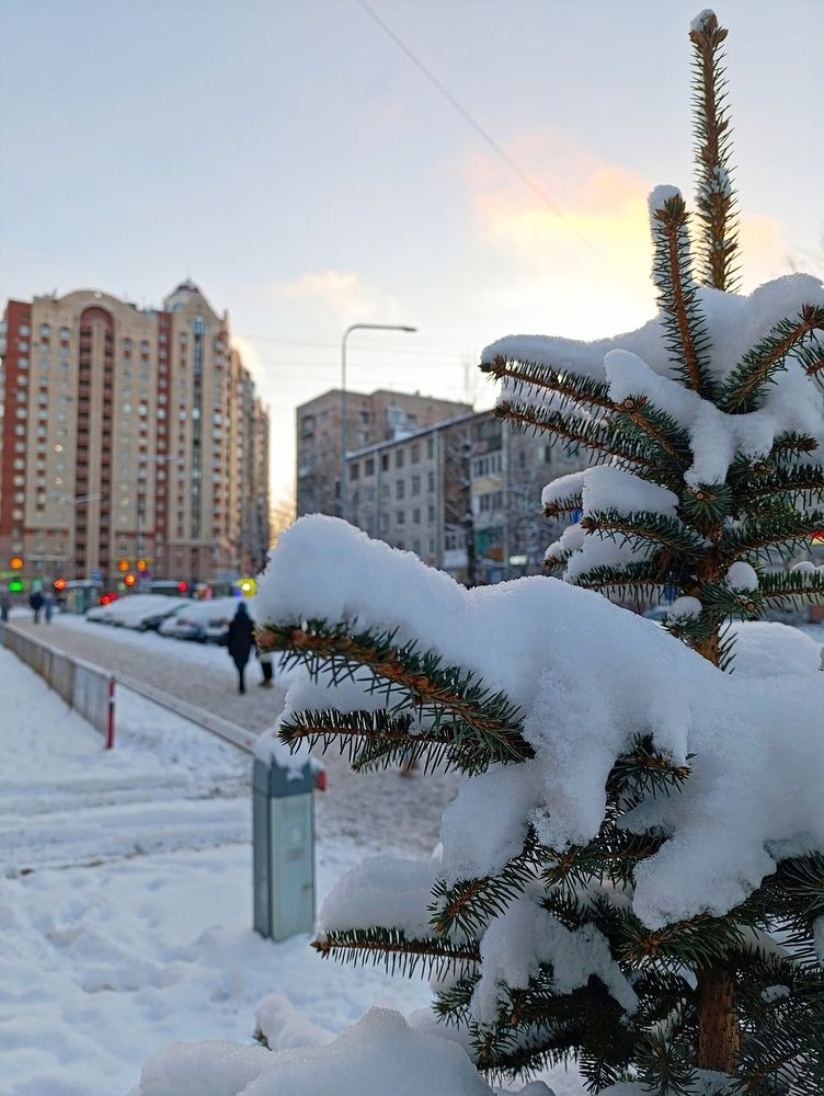 Фотография автора Андрей Тимошенко