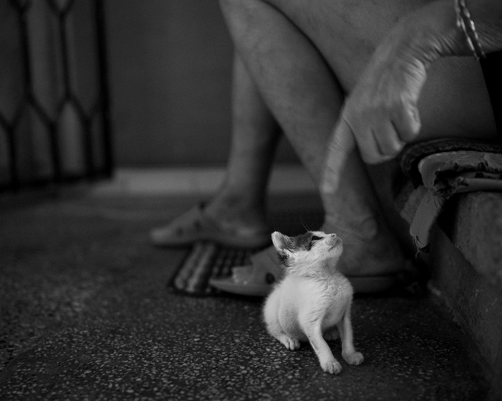 Photograph by Станка Петрова