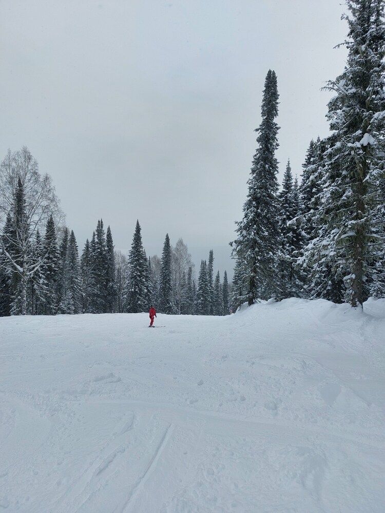 Photograph by Светлана Шиляева