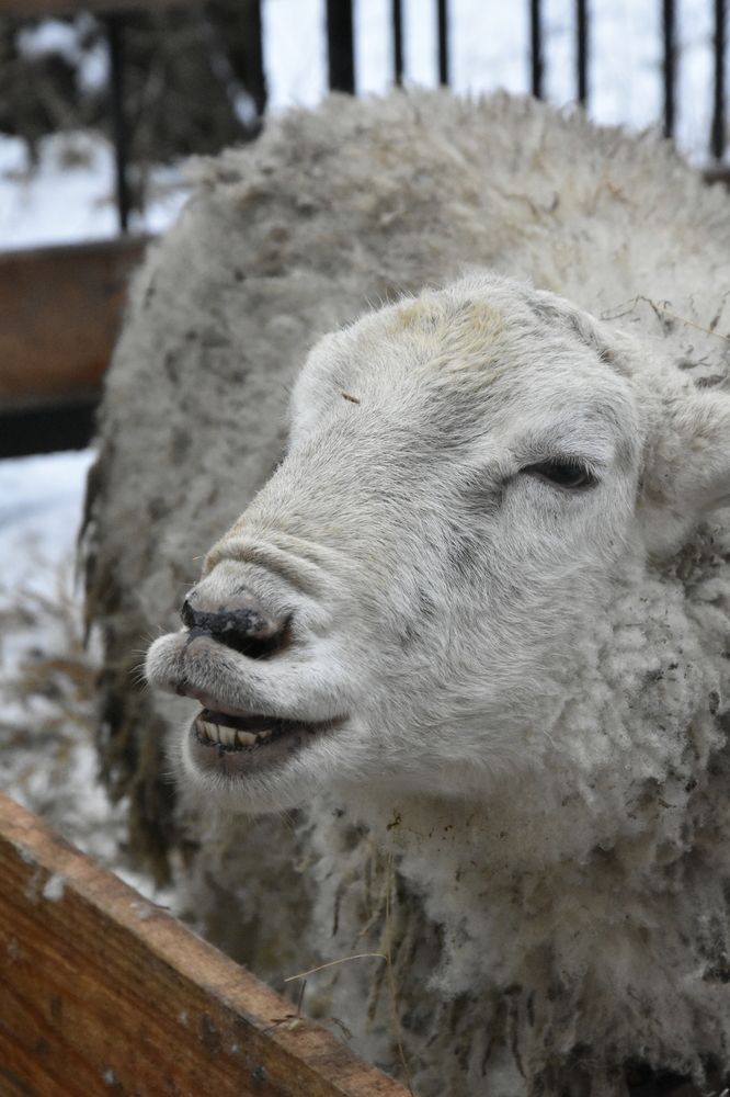 Photograph by Юлия Ю.