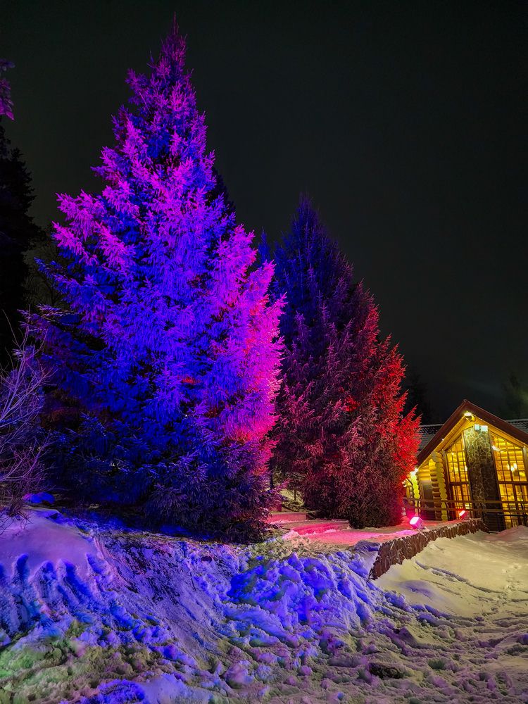 Фотография автора Evgeniy Shabanov