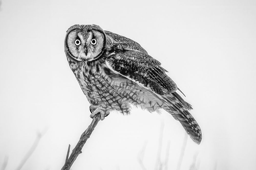 Photograph by Zhenhuan Zhou