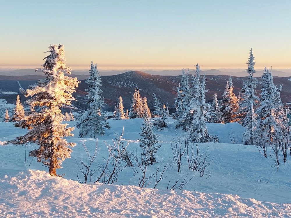 Photograph by Светлана Шиляева