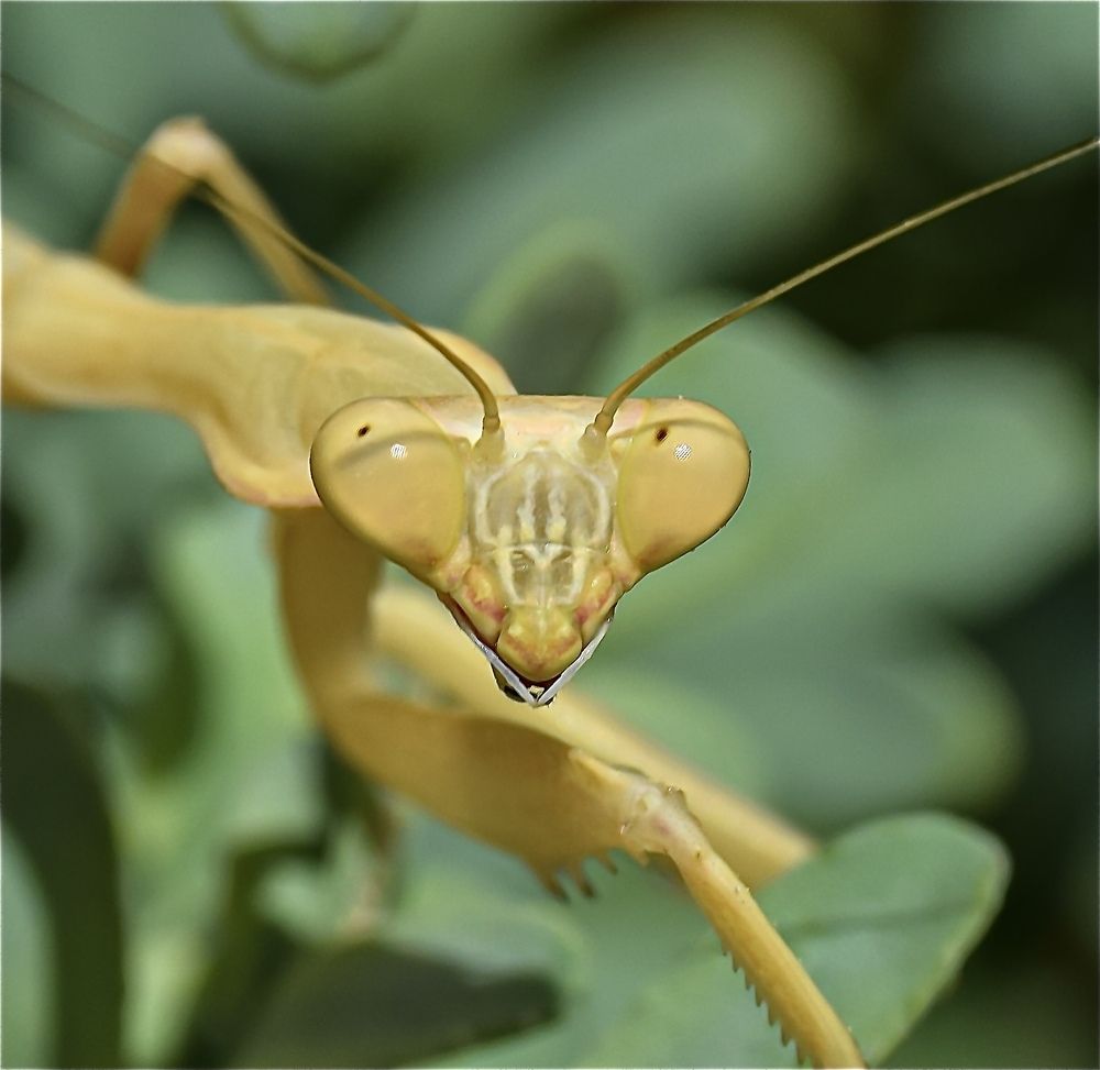 Photograph by imed ghrairi