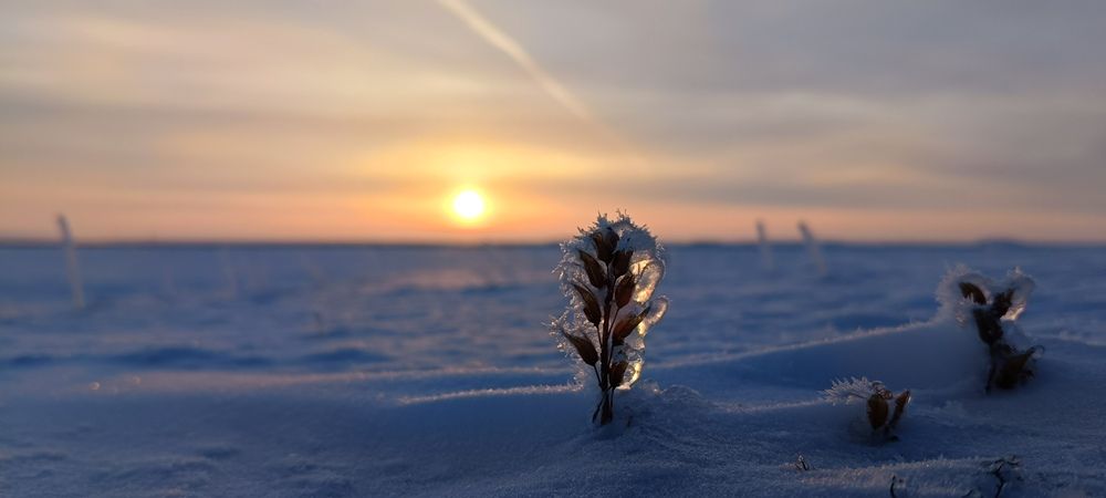 Photograph by Алексей