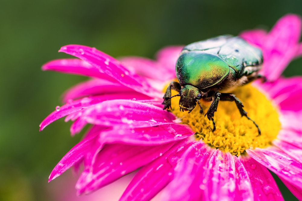 Photograph by Любовь Рощина