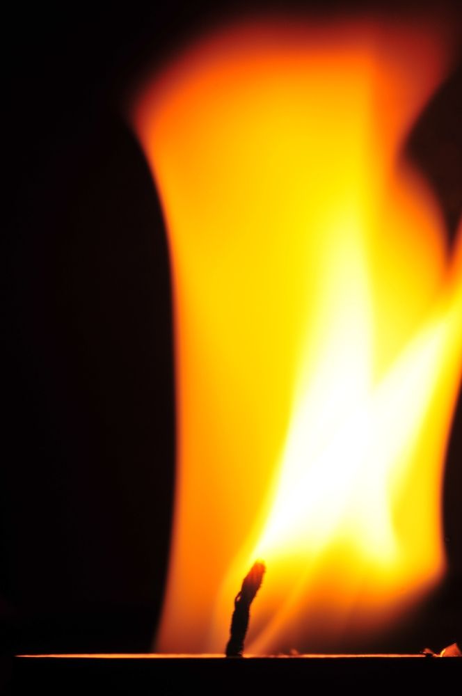 Photograph by Александр Никонофф