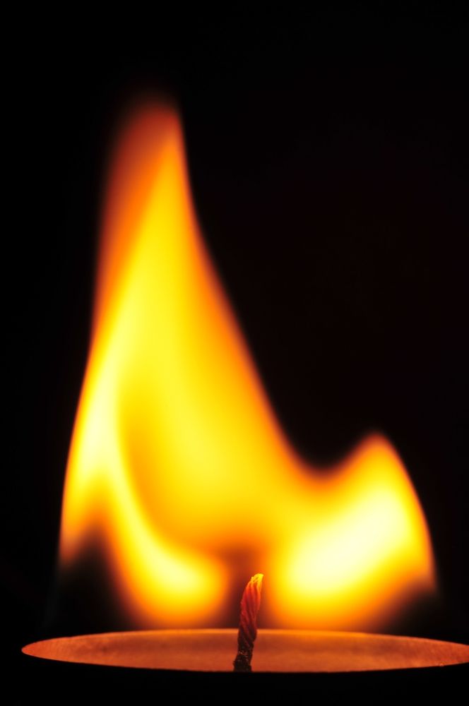 Photograph by Александр Никонофф