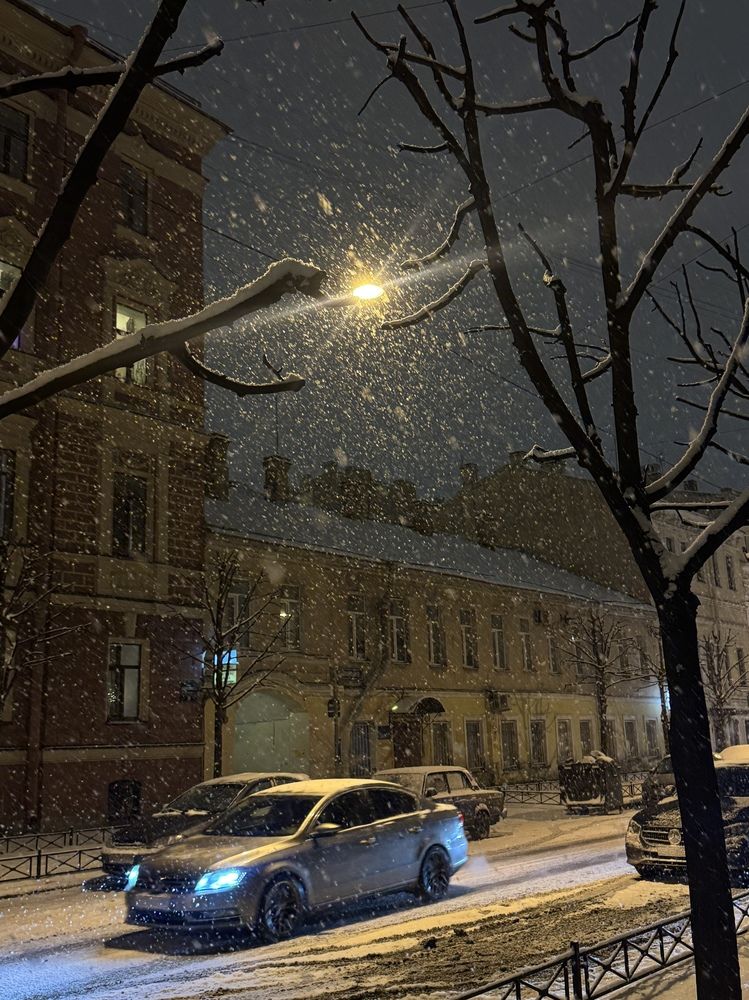 Photograph by Mariia Voloshina