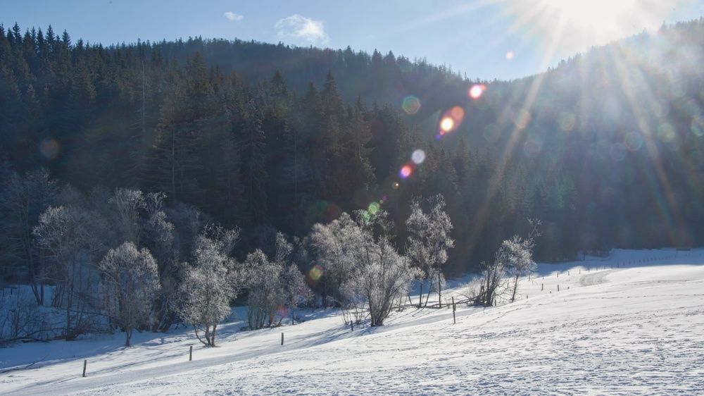 Photograph by Peter Pochyly