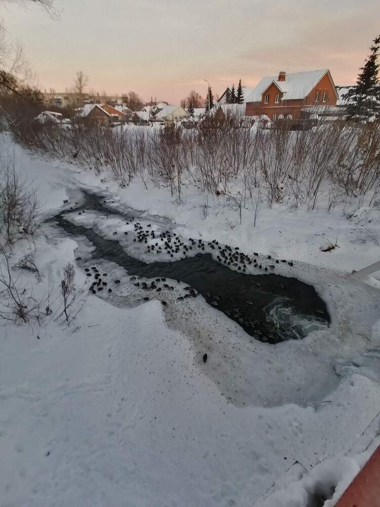 Photograph by Nasima Timcenko