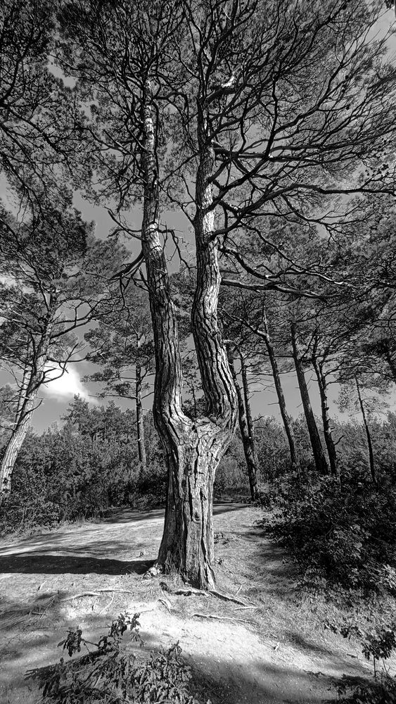 Фотография автора Сергей Кульков