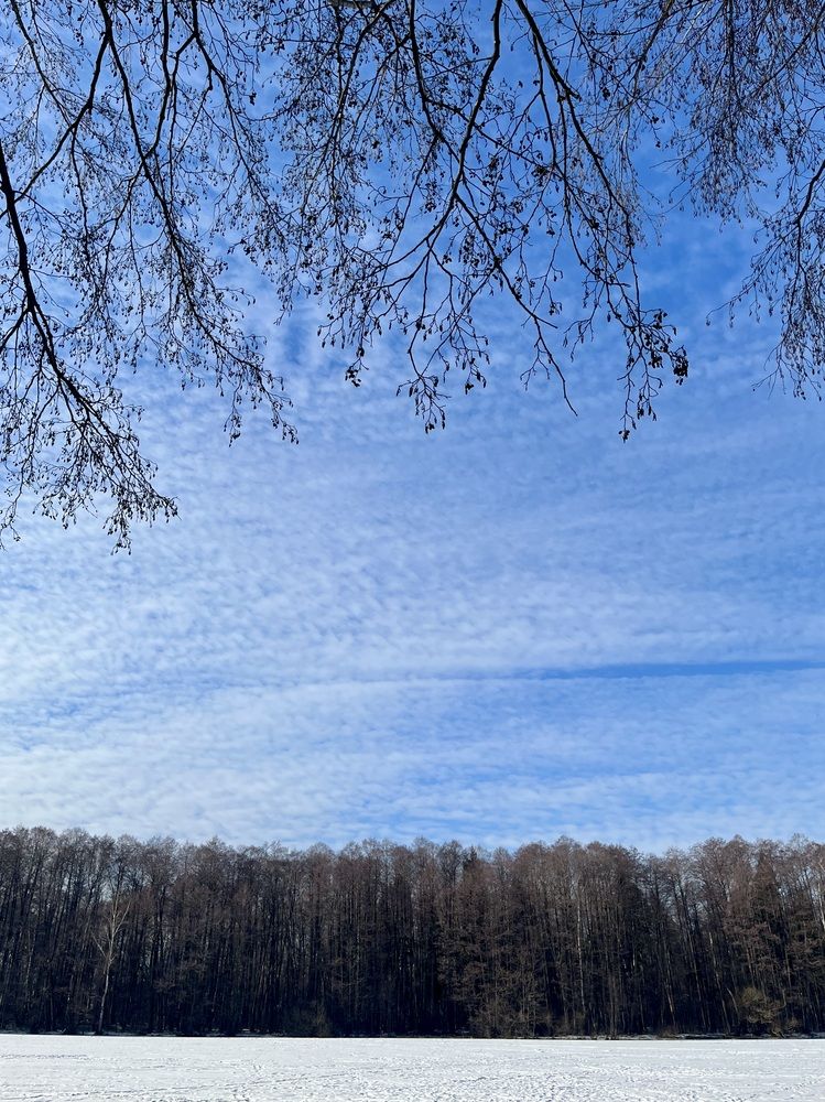 Photograph by Екатерина Фесенко