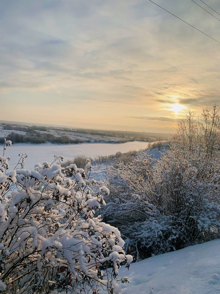 Photograph by Mariia Zinina