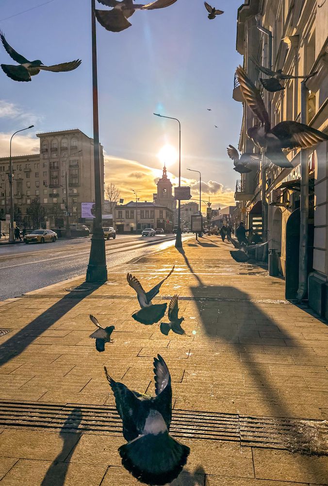 Photograph by Яна Лугинина