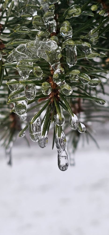 Photograph by Елизавета