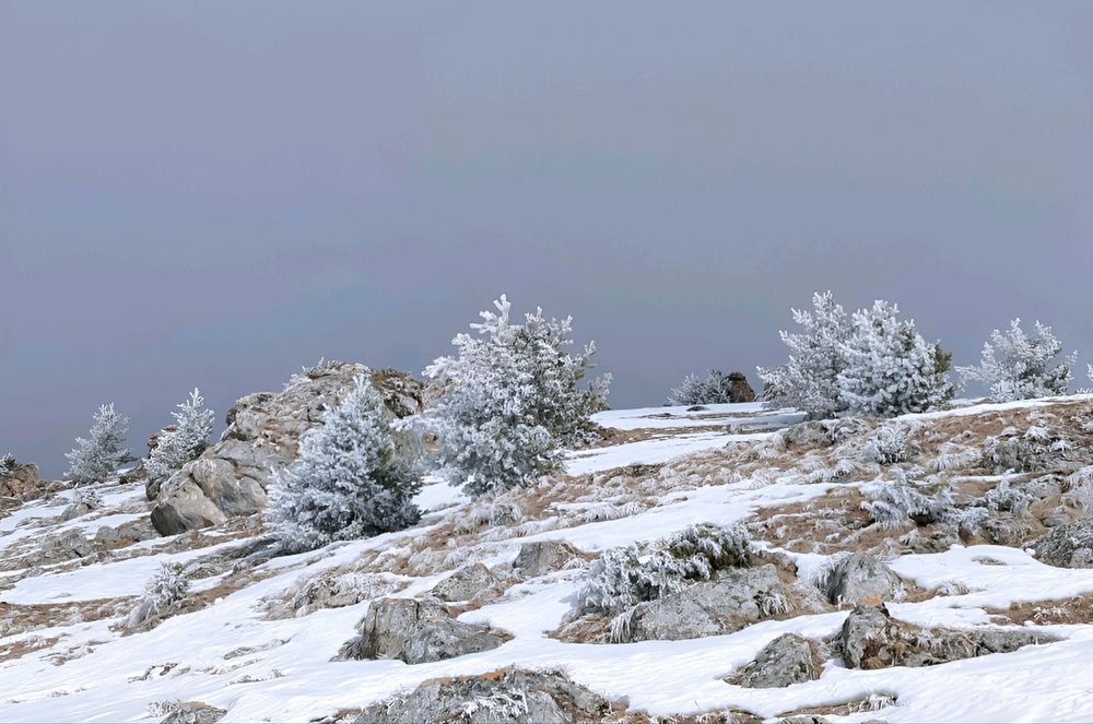 Photograph by Юлия Холомцева