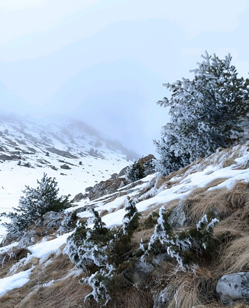 Photograph by Юлия Холомцева