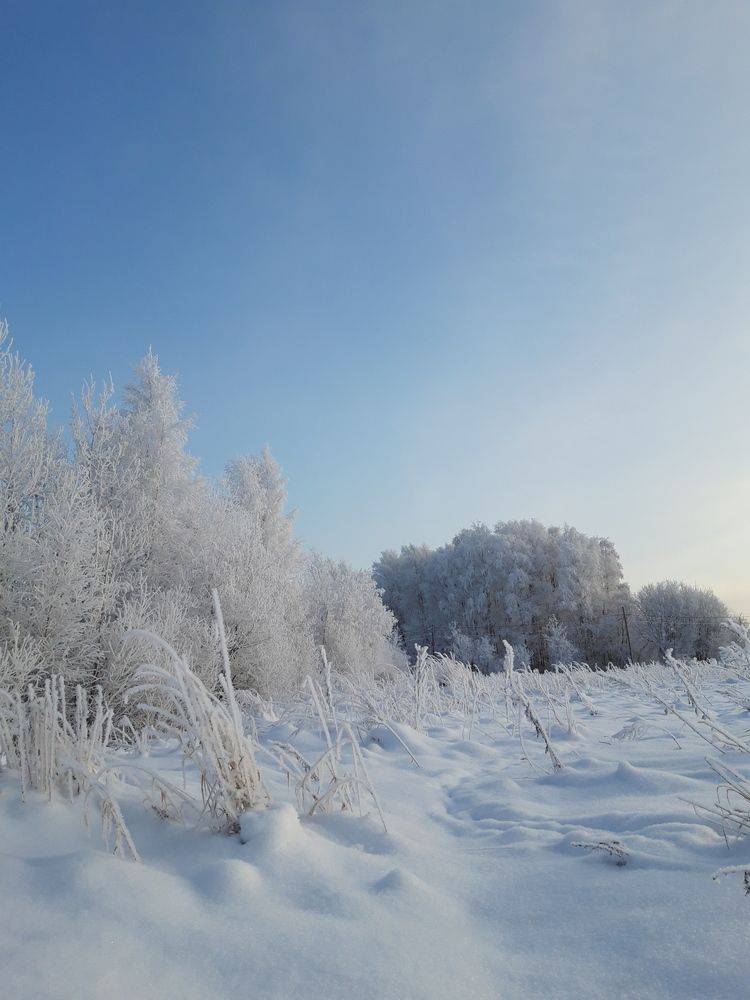 Photo #11962787