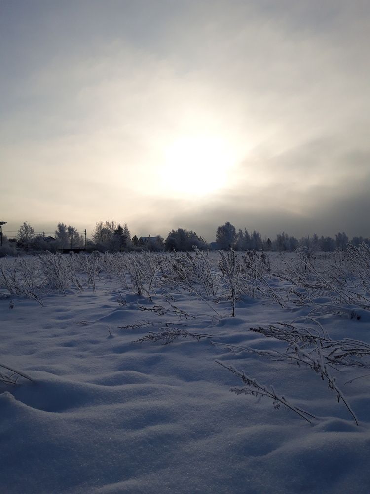 Photo #11962789