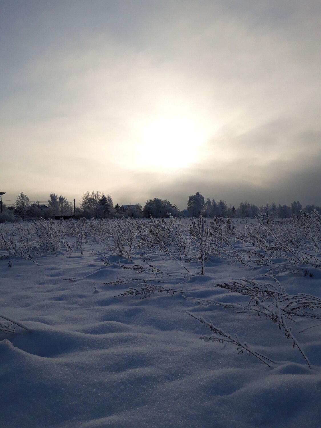 Photo #11962789