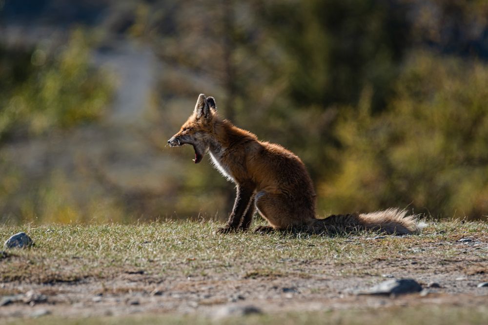 Пора отдыхать