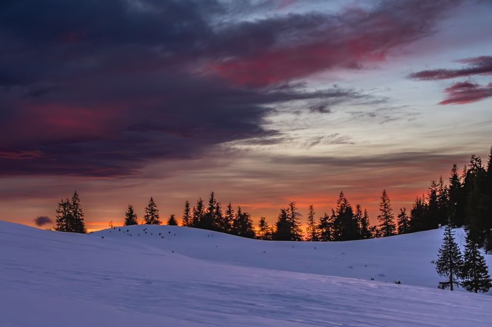 Фотография автора COMSA BOGDAN