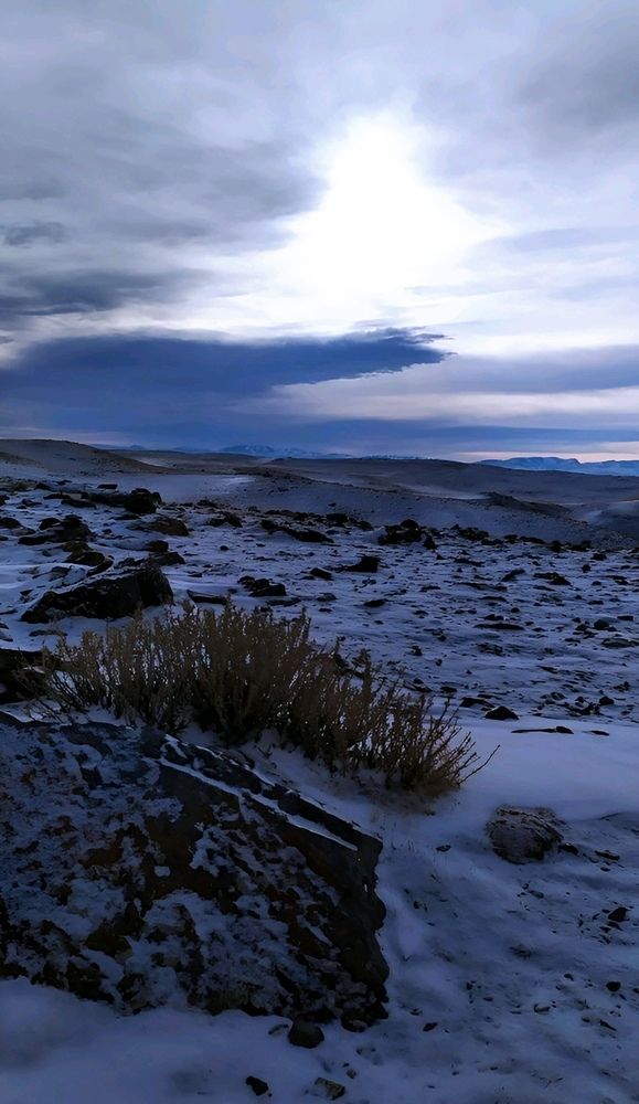 Photograph by Юлия Холомцева