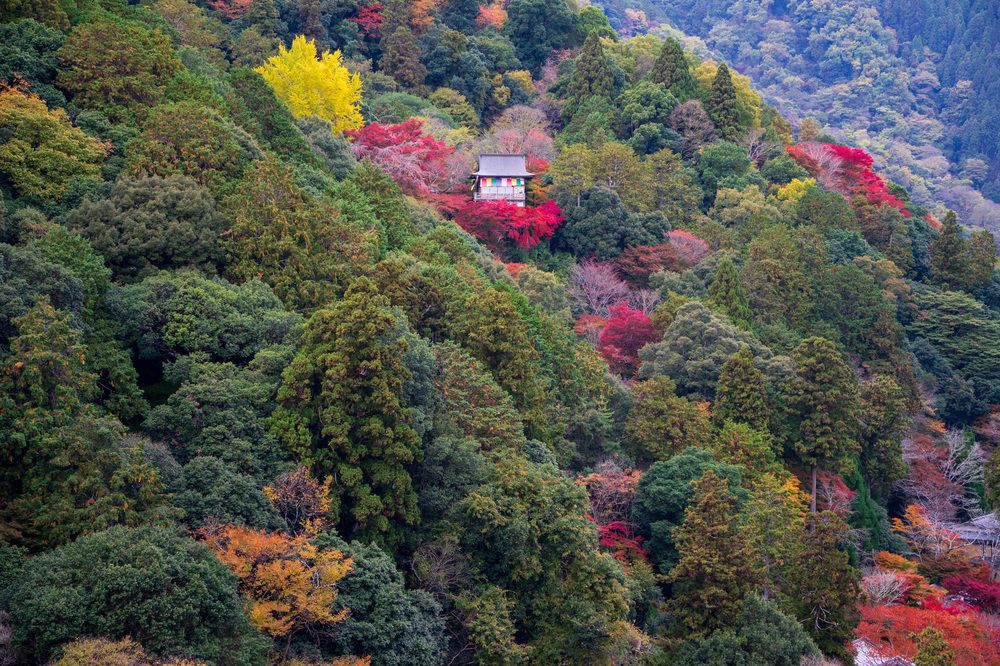 Фотография автора Ирина Зайцева