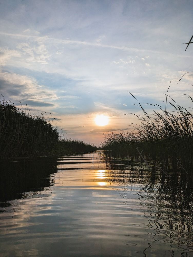 Photograph by Инесса Глухова