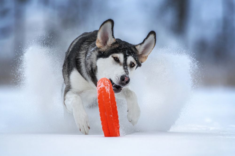 Photograph by Зубкова Юлия