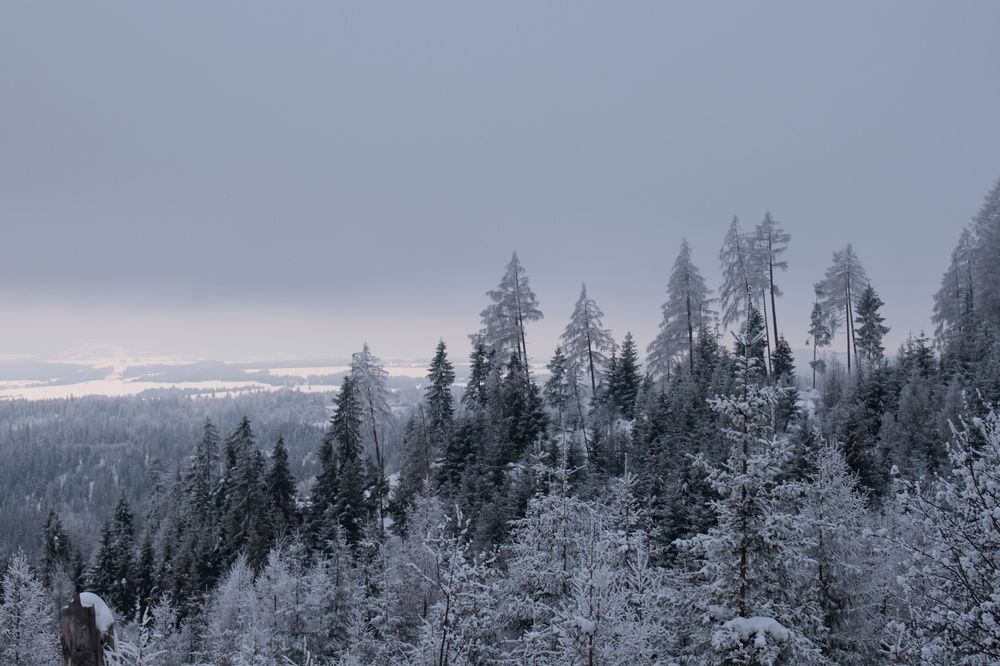 Photograph by Peter Pochyly