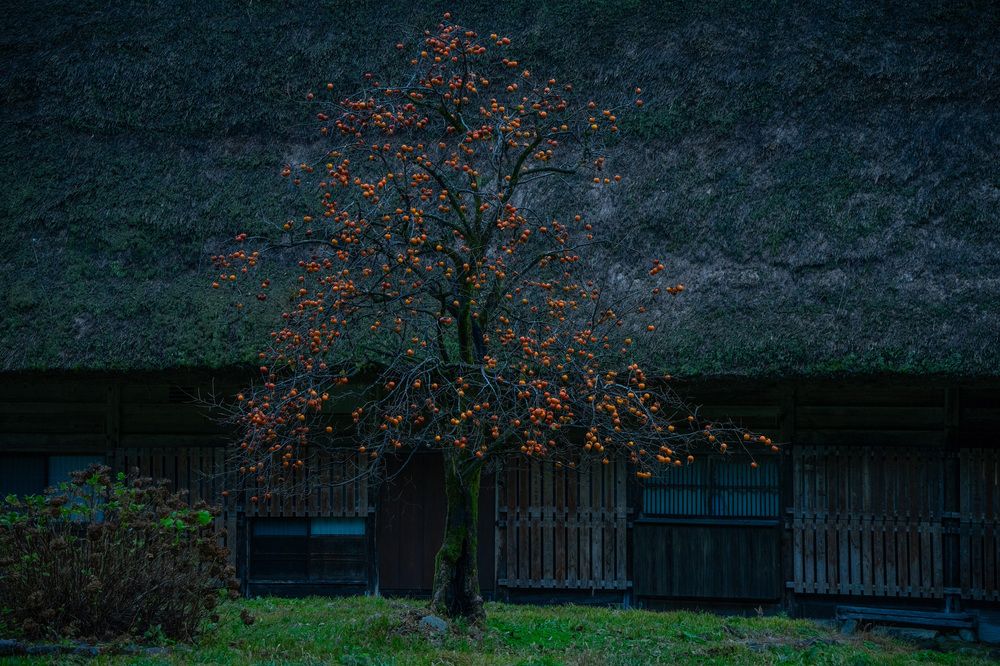 Фотография автора Ирина Зайцева