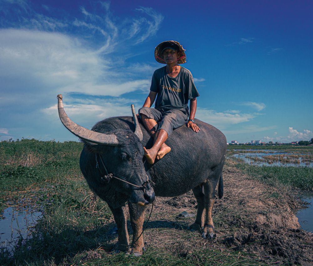 Photograph by Nic Watson