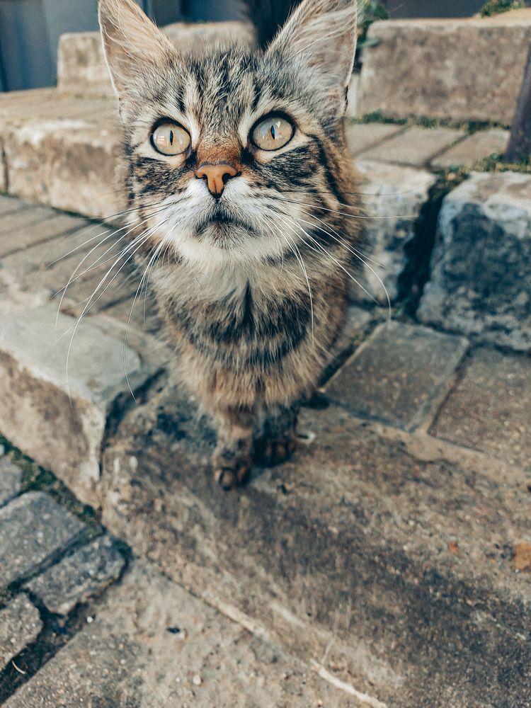 Photograph by Олег Богданович