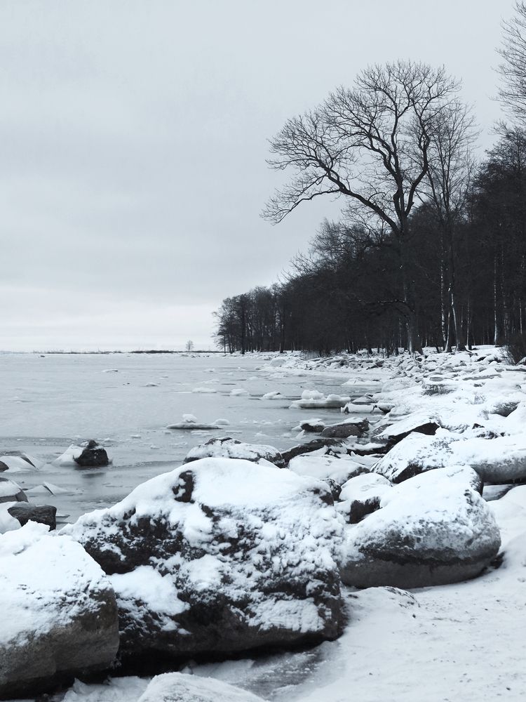 Photograph by Марианна Браун