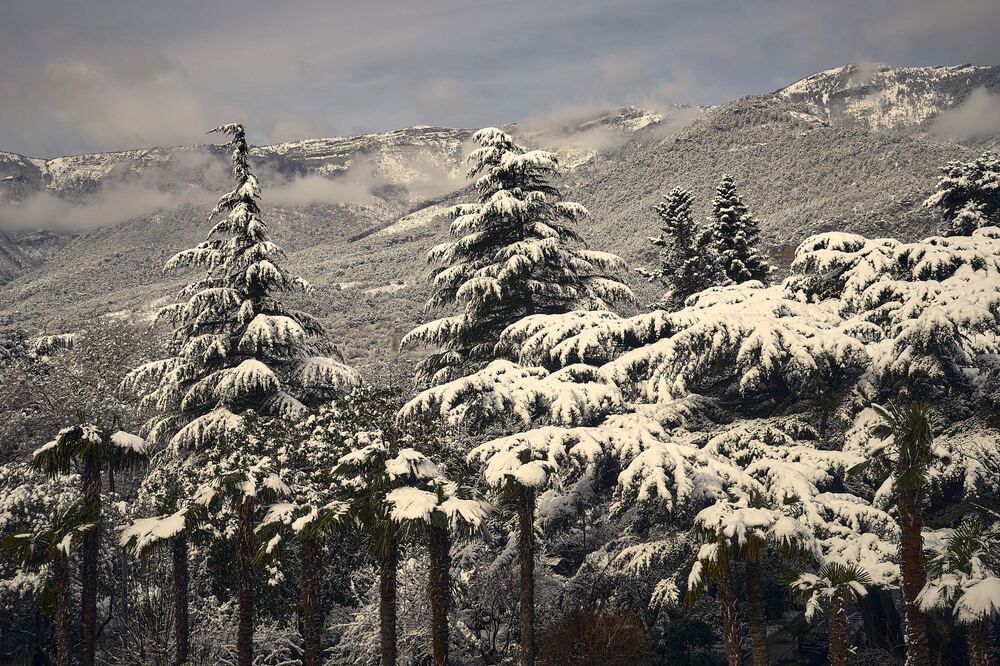 Photograph by Сергей Яблоков