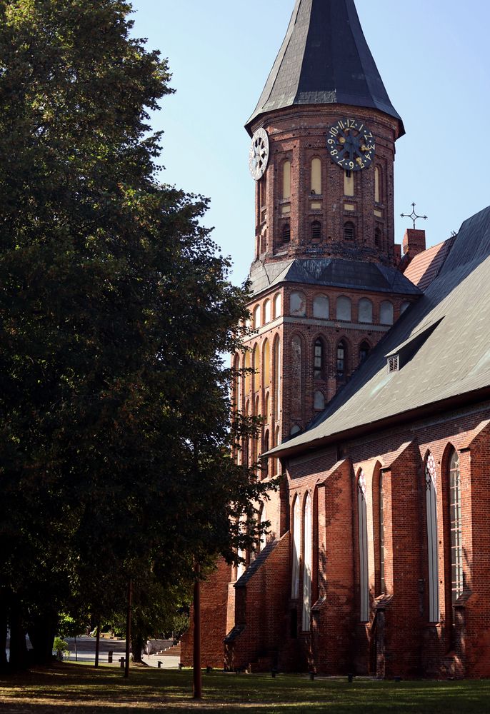 Фотография автора Ирина Муравьева