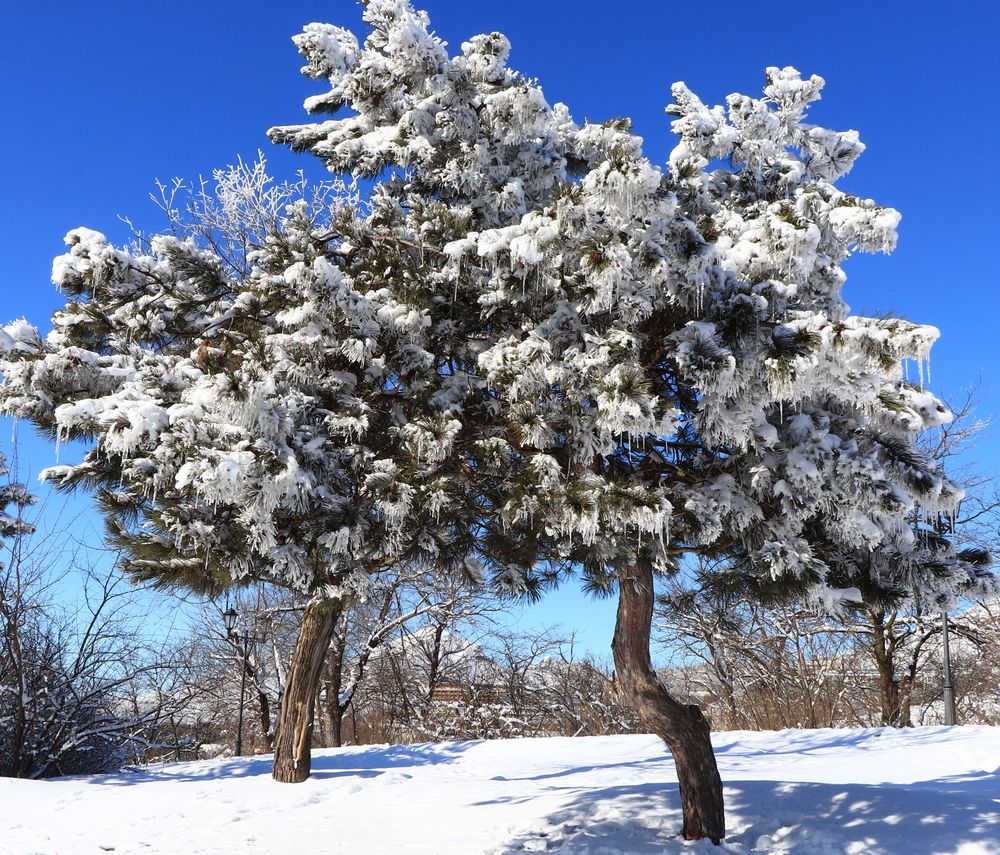Photograph by Игорь Куленко
