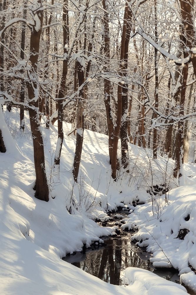 Photograph by Надежда Гриднева