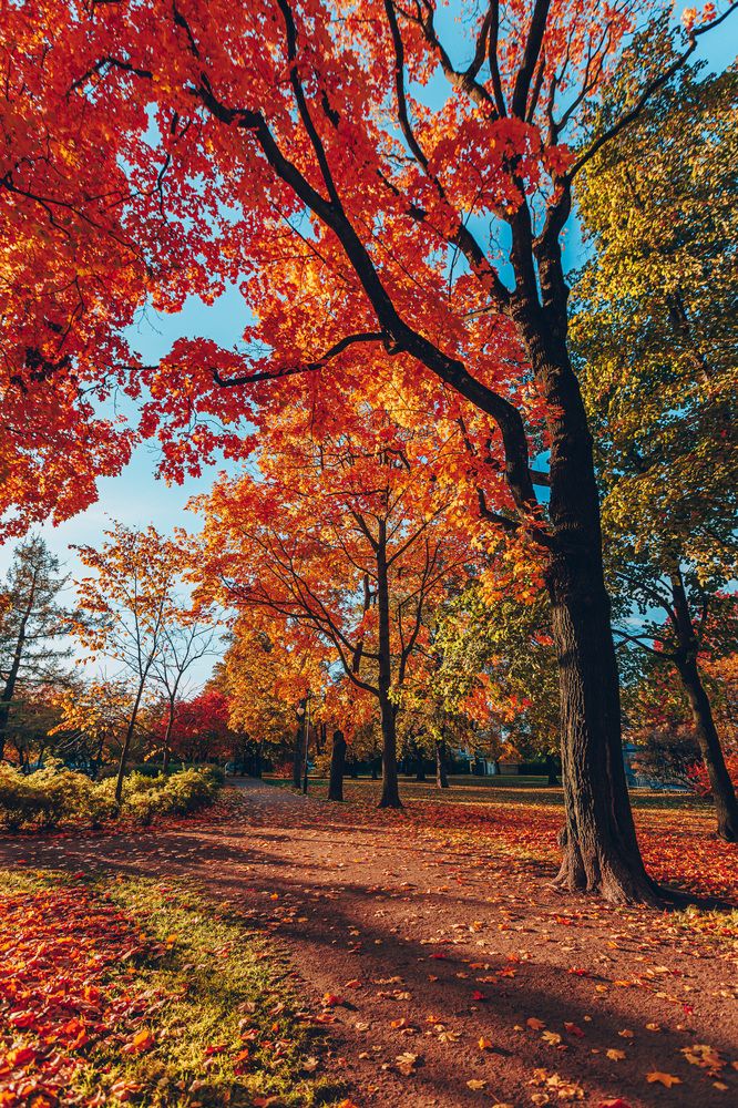 Фотография автора Rom@shkin