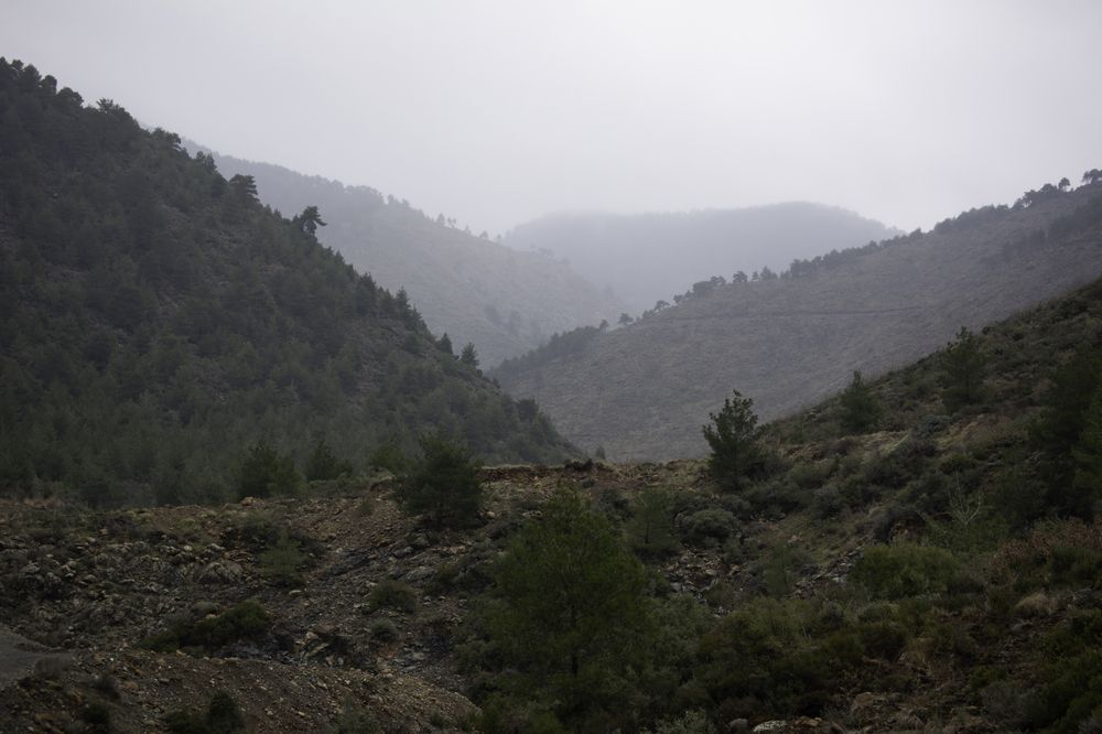 Photograph by Aqeel Al Jamal