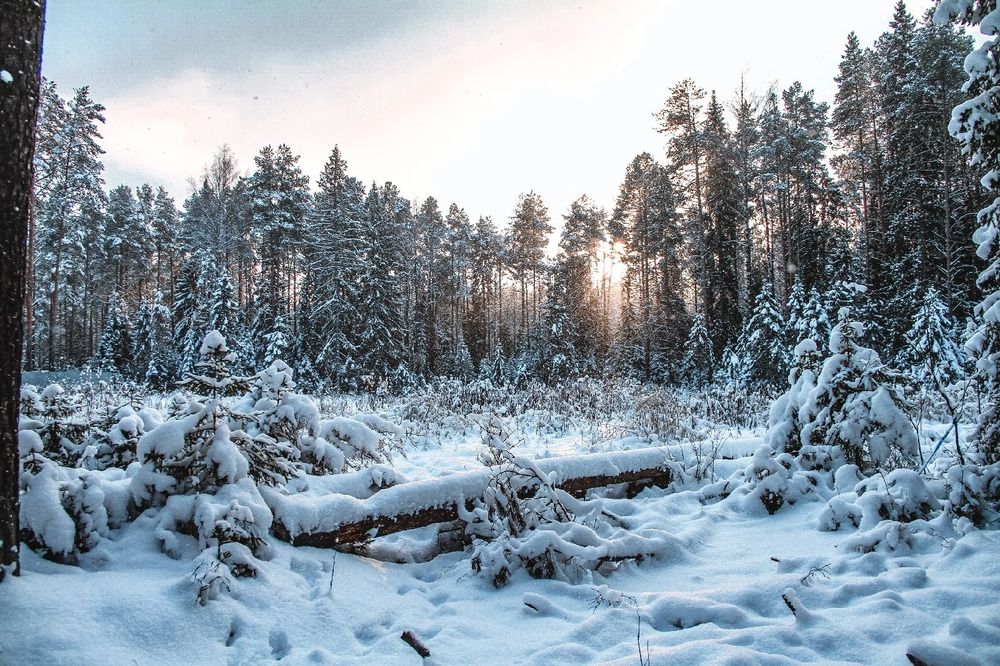 Photograph by Дарья Овчинникова