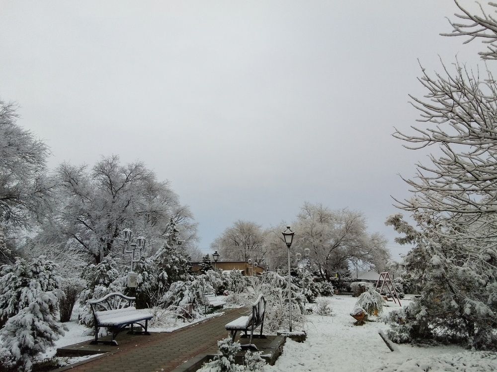 Photograph by Ксения Звонникова