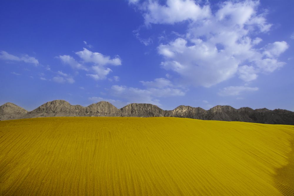 Photograph by Aqeel Al Jamal