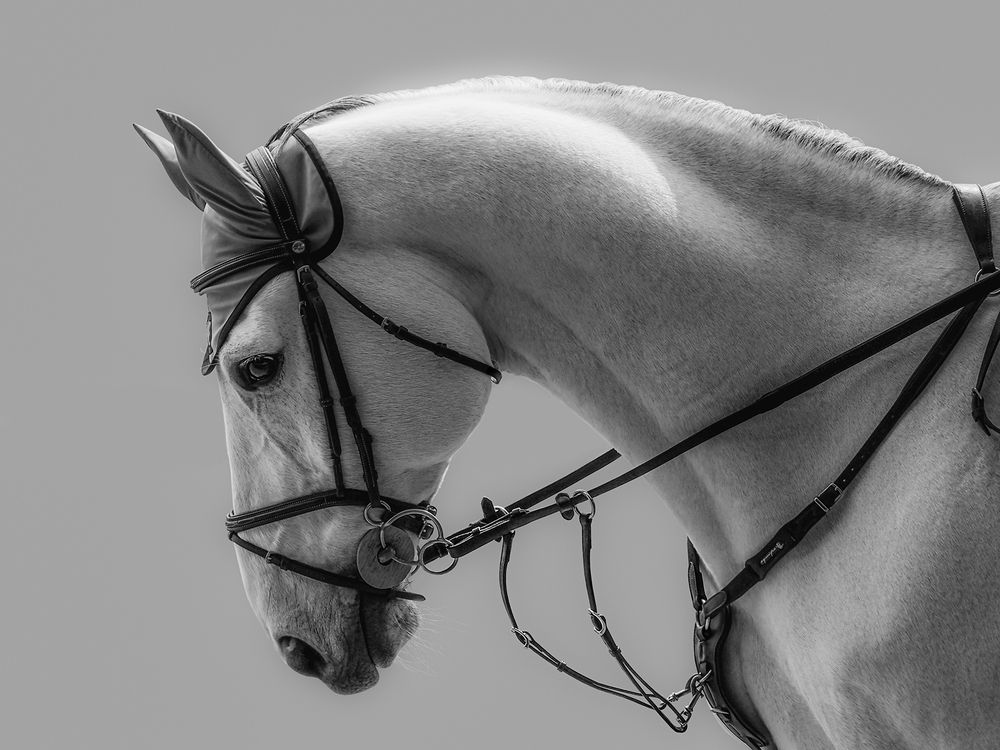 Photograph by Анжелика Титова