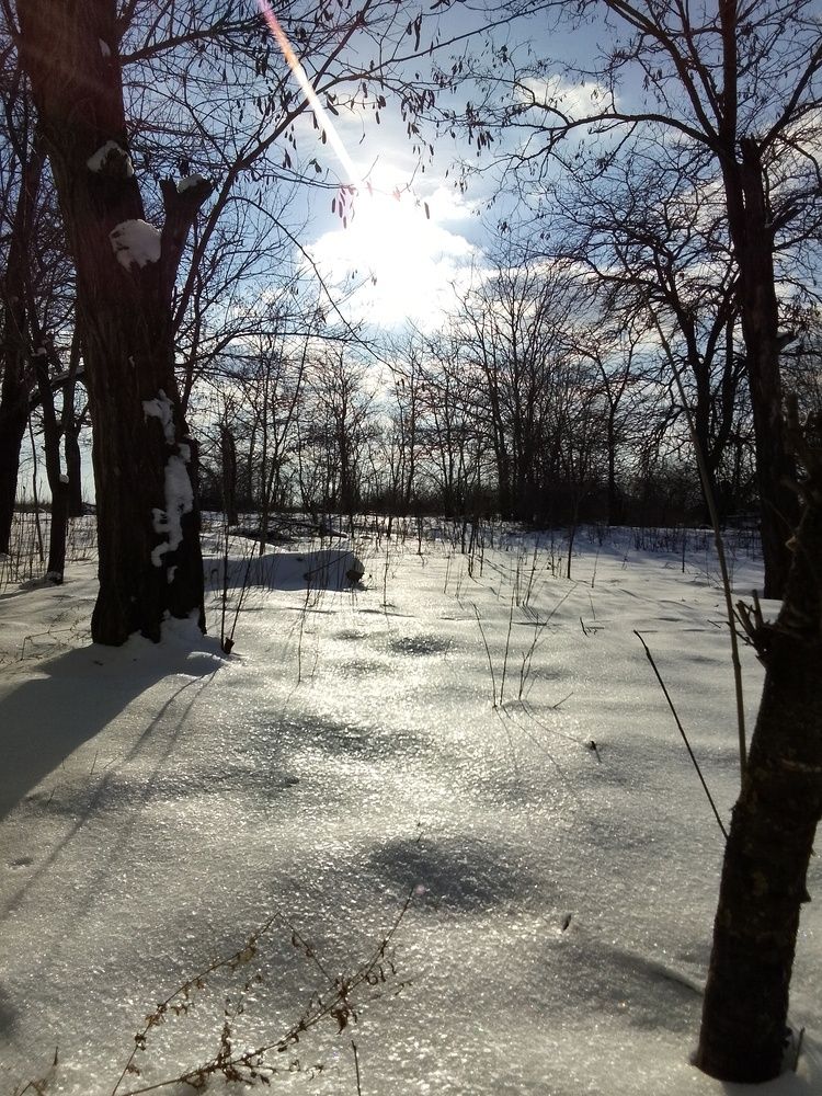 Photograph by Ксения Звонникова