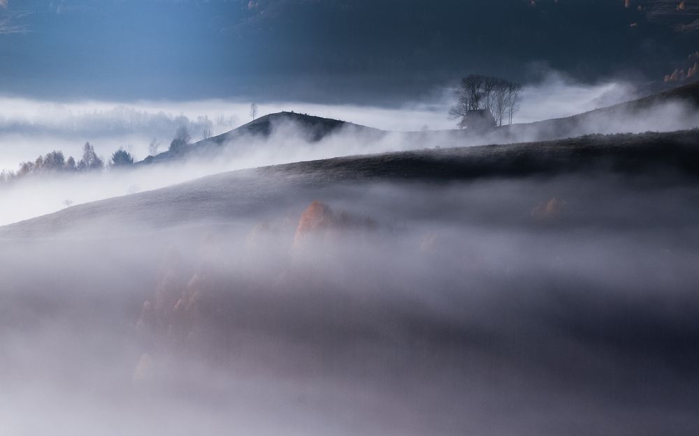 Фотография автора Flegner Calin