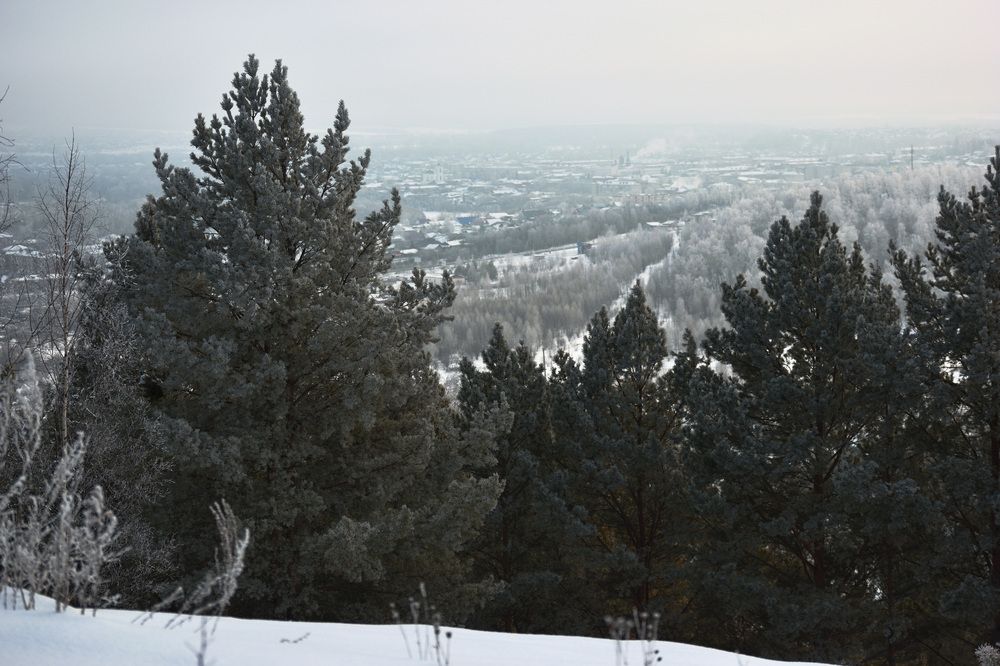Photograph by Юлия Горбунова