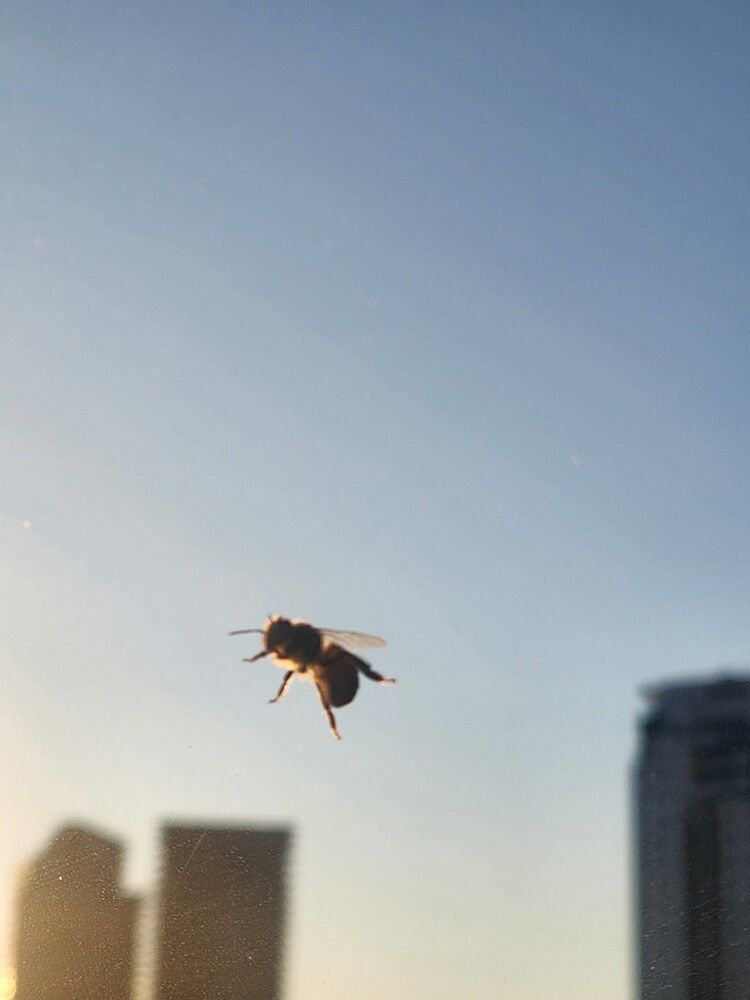 Photograph by Sveta Mitlansky